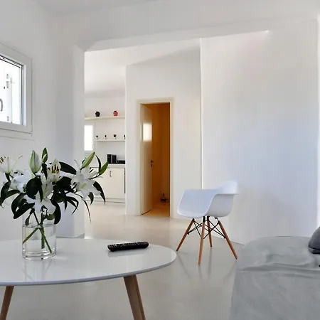 Villa Agia Irene - Katoikia Andreas Parikia (Paros)